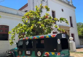 Imagem #4 do Pacote Férias de Julho em Porto de Galinhas + Maragogi + Carneiros + Recife e Olinda