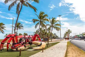 Imagem #4 do Pacote Férias de julho em Aracaju + City tour