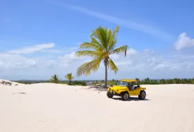 Imagem #6 do Pacote Férias de julho em Aracaju + City tour