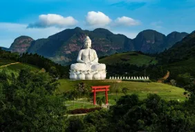 Imagem #5 do Pacote Vitória + City Tour