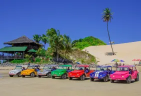 Imagem #5 do Pacote  Natal + City tour com Camurupim +  Praia de Pipa + Genipabu