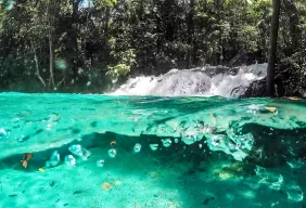 Imagem #5 do Pacote Jalapão Caminho das Águas - Deserto do Jalapão (8 dias e 07 noites)