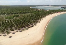 Imagem #5 do Pacote  Maceió + City tour