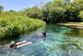 Imagem #4 do Pacote  Bonito + Passeio a Gruta Catedral