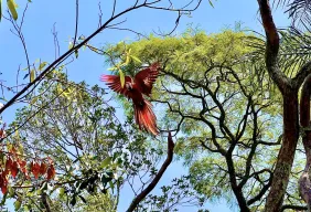 Imagem #9 do Pacote  Bonito + Passeio a Gruta Catedral
