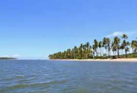 Imagem #1 do Pacote Porto de Galinhas + Maragogi + Carneiros + Recife e Olinda
