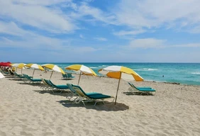 Imagem #6 do Pacote Miami