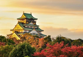 Imagem #6 do Pacote  Japão Experience