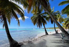 Imagem #6 do Pacote Férias de Dezembro no Caribe - Punta Cana All Inclusive