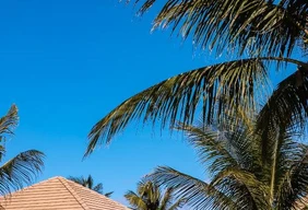 Imagem #8 do Pacote Ocaporã Hotel All Inclusive