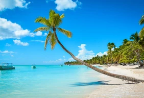 Imagem #5 do Pacote Réveillon em Punta Cana All Inclusive