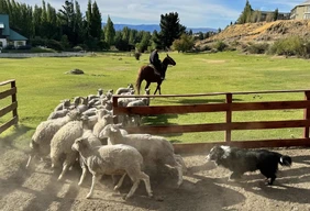 Imagem #6 do Pacote El Calafate + Perito Moreno + Ushuaia + Trem do fim do Mundo com entrada e Parque Nacional