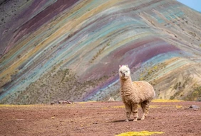 Imagem #1 do Pacote Lima + Cusco + Machu Picchu no Trem Expedition + Valle Sagrado