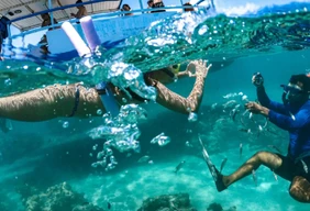 Imagem #8 do Pacote Férias de Janeiro  em Natal + City tour com Camurupim + Praia de Pipa + Genipabu