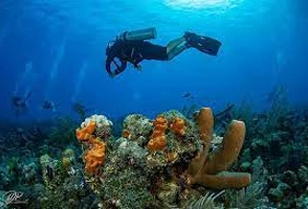 Imagem #4 do Pacote  Réveillon em San Andrés