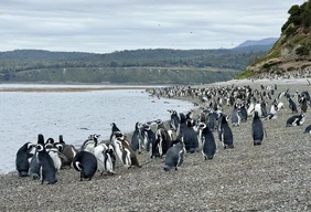 Imagem #4 do Pacote El Calafate + Perito Moreno + Ushuaia + Trem do fim do Mundo com entrada e Parque Nacional 