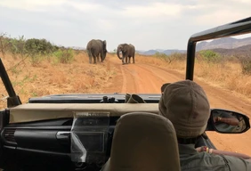 Imagem #1 do Pacote  Africa do sul - sonho sul africano (kruger e pilanesberg), 09 dias e 08 noites