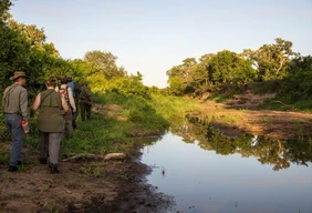 Imagem #3 do Pacote  Africa do sul - sonho sul africano (kruger e pilanesberg), 09 dias e 08 noites