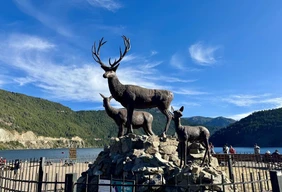 Imagem #1 do Pacote Bariloche + Rota dos Sete Lagos