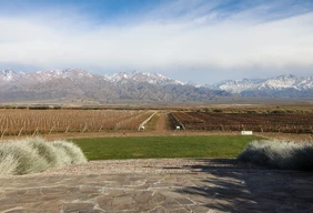 Imagem #6 do Pacote Réveillon em Mendoza + Vinícolas & Azeiteiras + Passeio a Alta Montanha