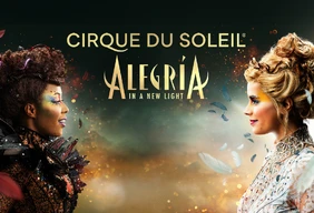Imagem #2 do Pacote Cirque du Soleil - Alegria - São Paulo