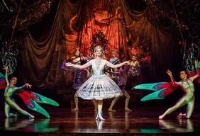 Imagem #5 do Pacote Cirque du Soleil - Alegria - São Paulo