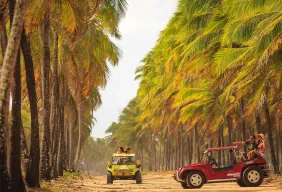Imagem #1 do Pacote Porto de Galinhas + Maragogi + Praia dos Carneiros