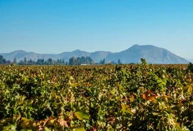 Imagem #7 do Pacote Réveillon  em Santiago + City tour  