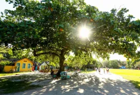 Imagem #1 do Pacote  Arraial D' Ajuda - BA