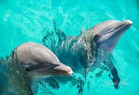Imagem #2 do Pacote Férias de Julho em Cancún