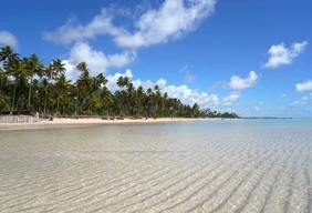 Imagem #1 do Pacote Porto de Galinhas + Maragogi  