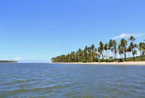 Imagem #5 do Pacote Porto de Galinhas + Maragogi  