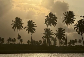 Imagem #3 do Pacote Porto de Galinhas + Maragogi  