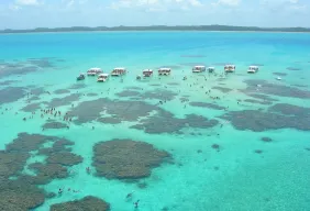 Imagem #5 do Pacote Porto de Galinhas + Maragogi