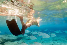 Imagem #1 do Pacote San Andrés (Colômbia) + Parasail + Johnny Kay, Mangroves e Haynes Kay 
