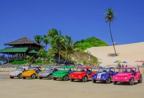 Imagem #6 do Pacote Ferias de Janeiro  Natal + City tour com Camurupim + Pipa 