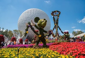 Imagem #6 do Pacote Grupo Aéreo Disney + Universal 2027 - Orlando e Miami — com coordenador acompanhando desde o Brasi