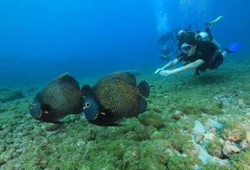 Imagem #3 do Pacote Fernando de Noronha + Trilha dos Mirantes + Trilha Costa Esmeralda  