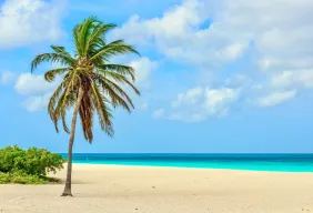 Imagem #1 do Pacote Férias de Janeiro em Aruba