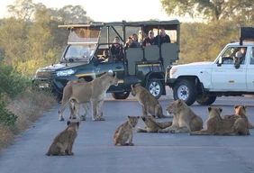 Imagem #4 do Pacote Grupo com coordenador - África do Sul 2027 – Joanesburgo, Parque Kruger & Cidade do Cabo 