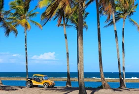 Imagem #4 do Pacote   Férias de Janeiro em Porto de Galinhas + Maragogi,