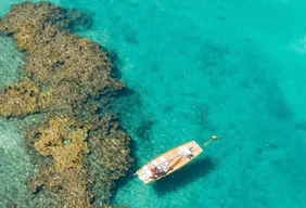 Imagem #5 do Pacote   Férias de Janeiro em Porto de Galinhas + Maragogi,