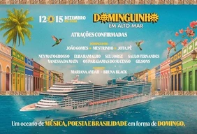 Imagem #1 do Pacote  Domiguinho  em Alto mar - MSC Divina(Navio temático)