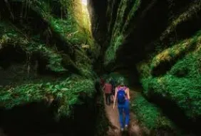 Imagem #4 do Pacote Buraco do Padre + Vila Velha e Curitiba Cultural