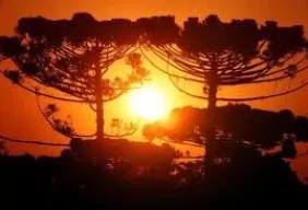 Imagem #3 do Pacote Buraco do Padre + Vila Velha e Curitiba Cultural