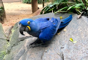 Pacote rodoviário para Foz do Iguaçu