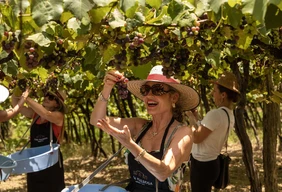 Imagem #4 do Pacote Vindima + Filó Italiano em Antonio Prado