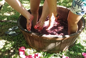 Imagem #6 do Pacote Vindima + Filó Italiano em Antonio Prado