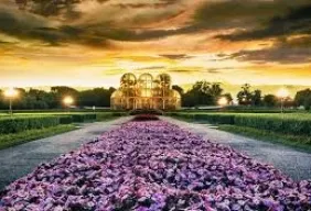 Imagem #4 do Pacote Trem Morretes + Curitiba Cultural