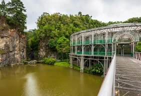 Imagem #9 do Pacote Trem Morretes + Curitiba Cultural